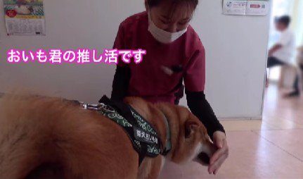 すっかり元気になっちゃった！？