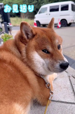 「また来るよね？」