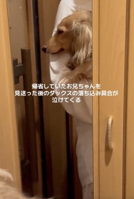 お兄ちゃんへの愛が伝わってきます