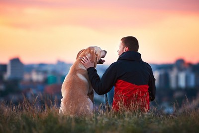 座っている犬と男性