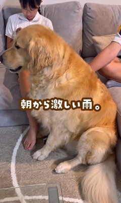 雷が大の苦手