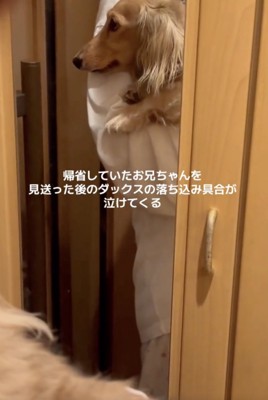 本気で悲しそう