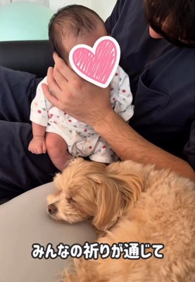 赤ちゃんと寝ている犬