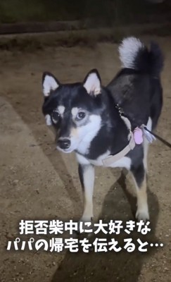 帰宅は拒否！