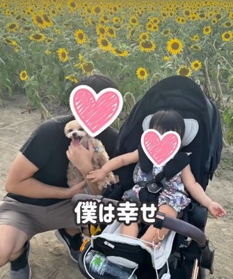 赤ちゃんの上に乗る犬