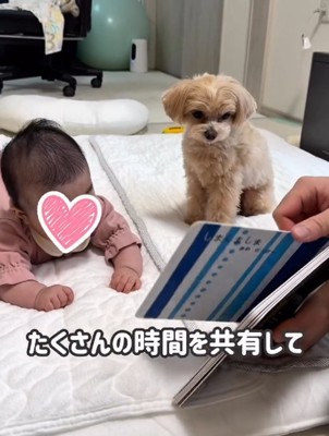 赤ちゃんと絵本を見る犬