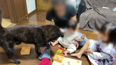 「これ大丈夫?」