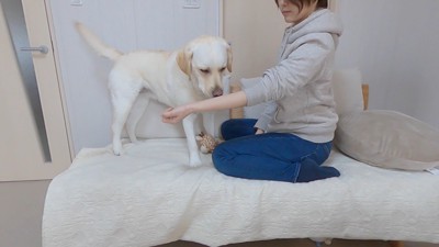 きなこちゃんとママさんの再会6