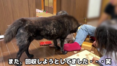 「やっぱり駒は危ない!」