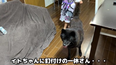 赤ちゃんに釘付け!