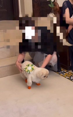 「出番が来たよ!」