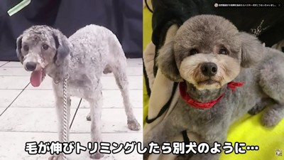 生まれ変わった姿に感動!