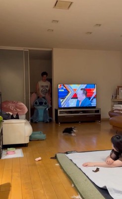 大きなぬいぐるみを見た貂ちゃん5