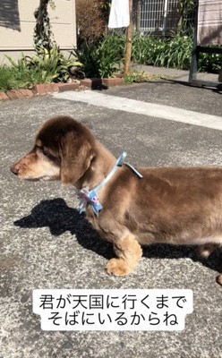 思い出もいっぱい