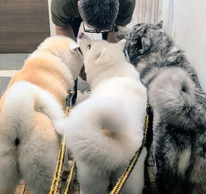 大迫力