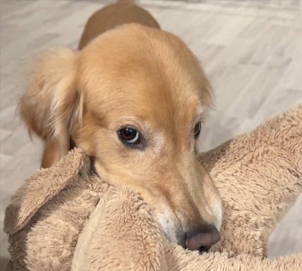 ダメかな