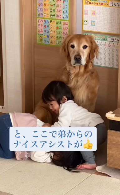 弟のナイスアシスト！