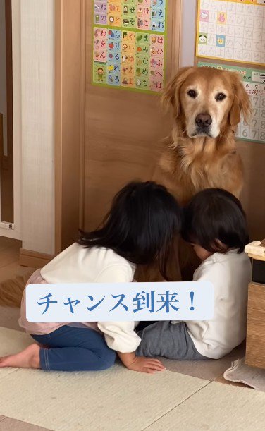 チャンスが到来！！