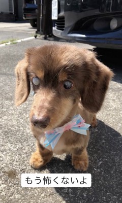 ずっと一緒だよ!