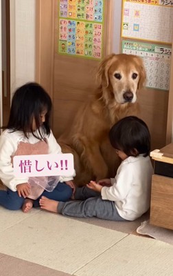 ダメだった…
