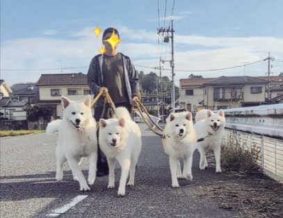 圧巻のお散歩