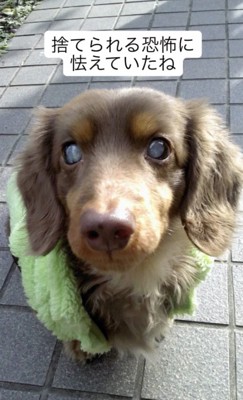 大きなトラウマが…