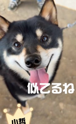 小哲くん