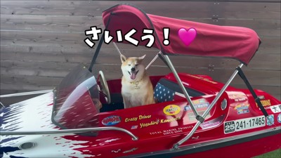 おもちちゃんは乗り物が大好き！