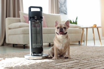 ヒーターの隣に座っている犬