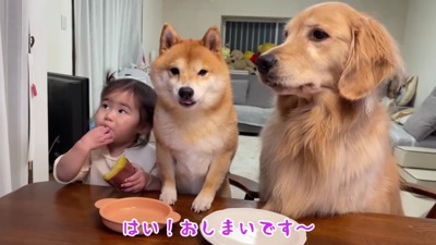 楽しい焼き芋パーティーでした