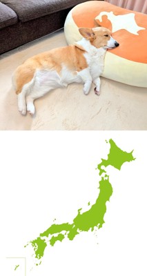 本州