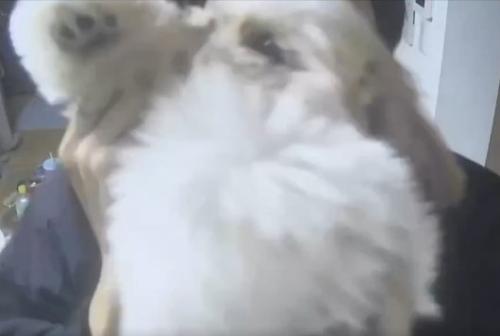 声とのギャップ