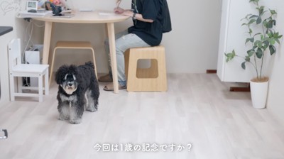 次の日には1歳に