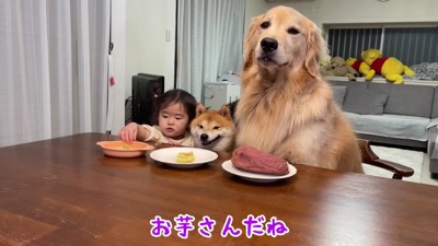 まだかな、まだかな~