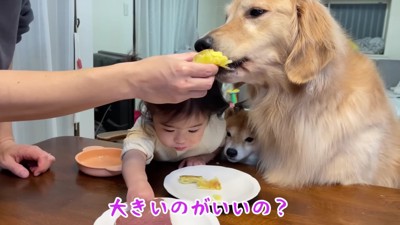 うにくんが挟まれてる…!