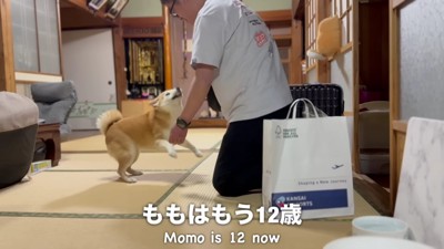 軽快なステップで大歓迎！