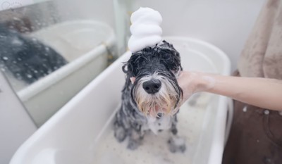 モッコモコの泡!