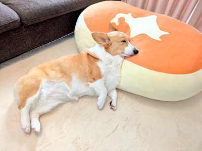 チーズ蒸しパン