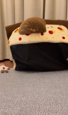 「おやつ」と聞いた文太くんの反応3