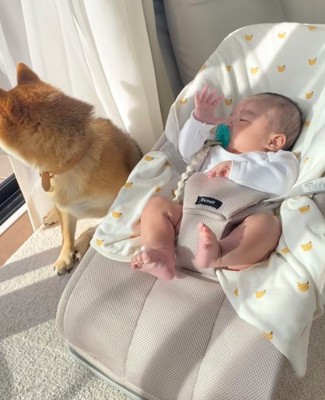 危ないものはないかな?