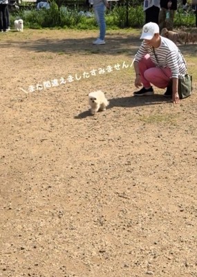 歩く犬