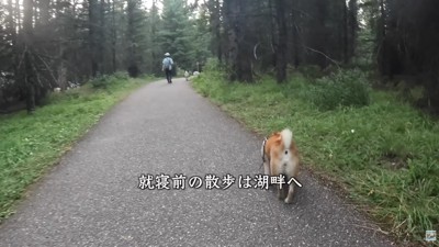 近くにある湖畔へお散歩