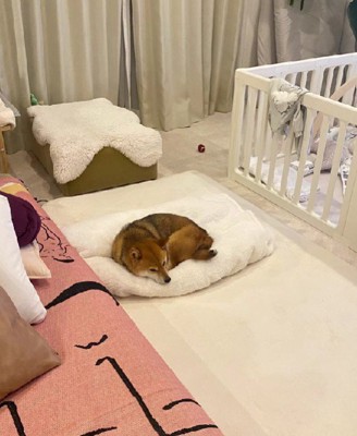 布団の上を独占!?