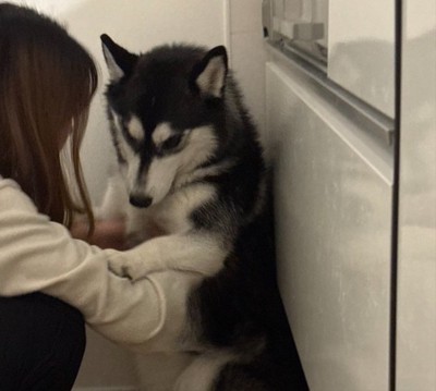 なにもしてない