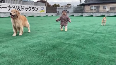 水を飲ませるのもお手の物！