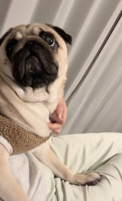 「必ず行きましょう」