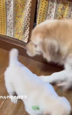 なんとかみんなに追いついたよ!