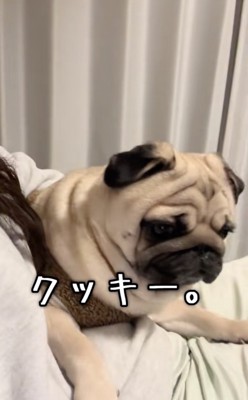 勢い余って立ち上がりそうに