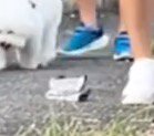 地面に落ちた男性のハンカチ