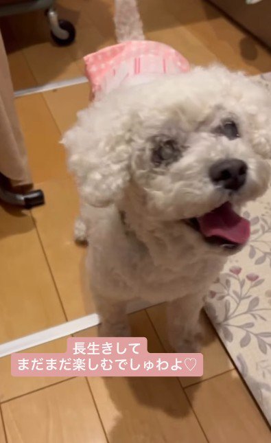 素敵なシニアライフを送れそう！